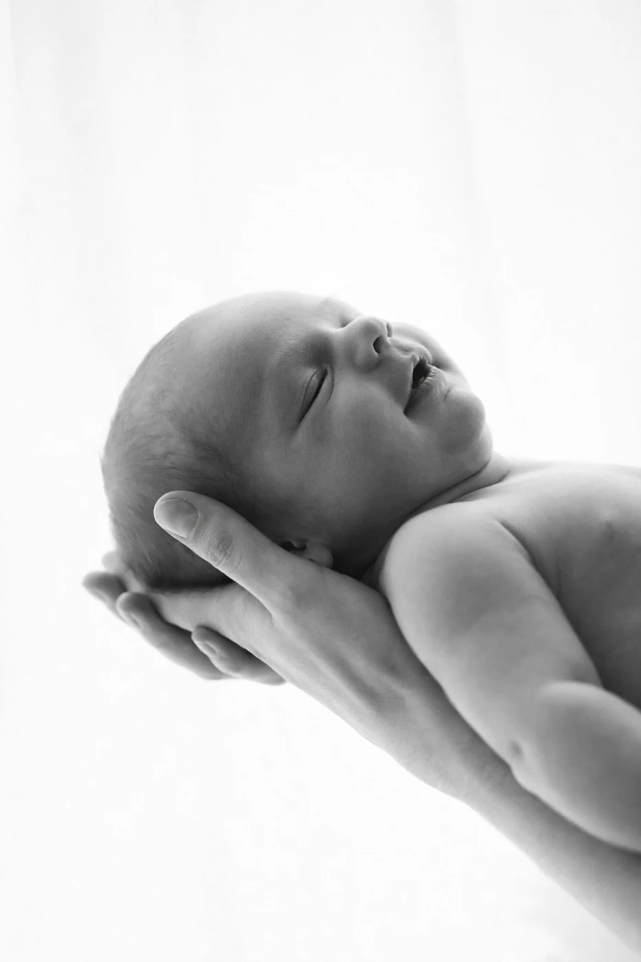 Newborn